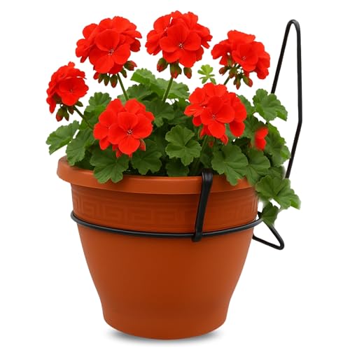 Macetero con Soporte de Pared, Maceta Redonda plástico, Tiesto Colgar Flores, Fabricado en Polipropileno, Recipiente Pared para Flores, 25 cm diámetro x 14 cm Base x 19.5 cm Alto, Marrón