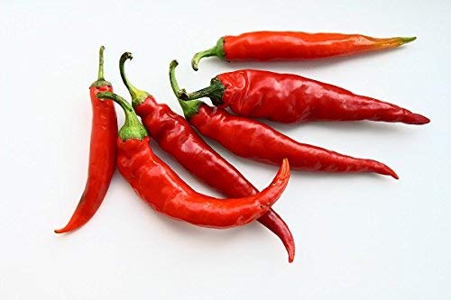 Semi di peperoncino di Cayenna - Capsicum annuum