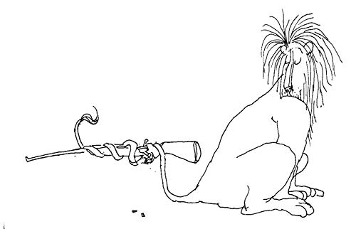 Leocádio, o leão que mandava bala