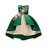 Fairy Cute Party Pageant Prom Vintage Flower Girl Dress Teens Girls Knee Length Sleeveless Wedding Bridal Ball Gown Formal Christmas Day Dress Size 4 5 Years (Green 120)