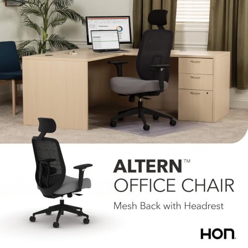 Image of HON Altern Ergonomic Office Chair, Office Desk Computer Chair, Frost