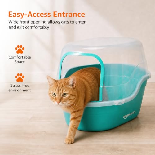 Image of Amazon Basics Semi Enclosed Cat Litter Box | Large Litter Tray | Easy Clean Cat Washroom for Indoor Cats | Green & Transparent | 42 X 49 X 63 cm | Suitable for Kittens & Adult Cats