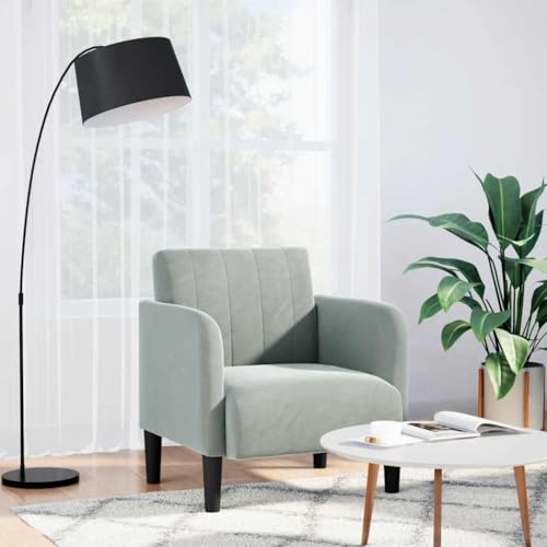 Teenpull Sillón con reposabrazos gris claro, funda de terciopelo de 54 cm, cómoda silla de acento para salón, dormitorio, rincón de lectura, construcción robusta
