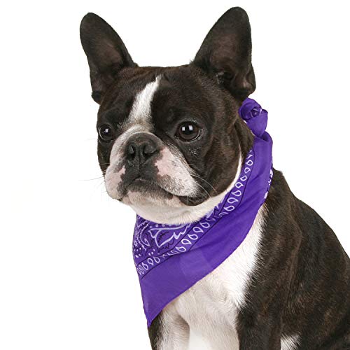 Jordefano JOBATRMIX-8 Pack Of 8 Paisley Cotton Dog Bandana Triangle Shape thumb #1