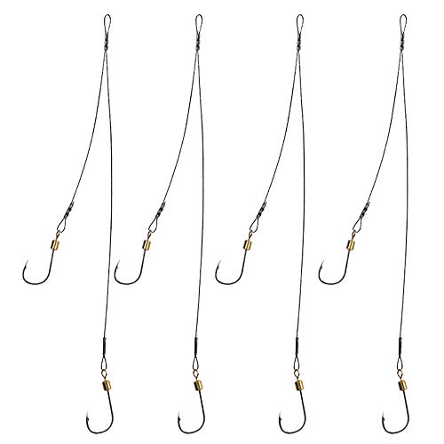 Dyxssm Fishing Hooks and Leader, Fishing Rigs Hook Line Stainless Steel Fishing Rigging Wire Hooks (8#, Style-B: 2 Hook rig)