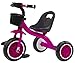kidfun Triciclo per Bambini in Metallo con Pedali e Cestino Tricygò Viola