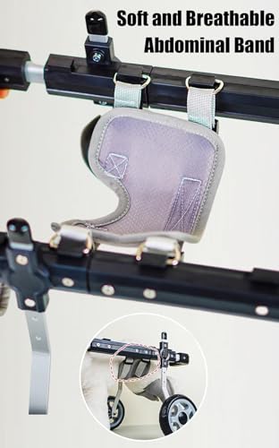 Fauteuil roulant pour chien à 4 roues pour pattes arrière XS-L