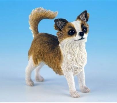 Leonardo Dog Studies Long haired Chihuahua Dog