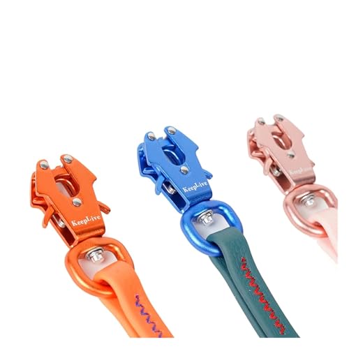Long Leash Training Tips