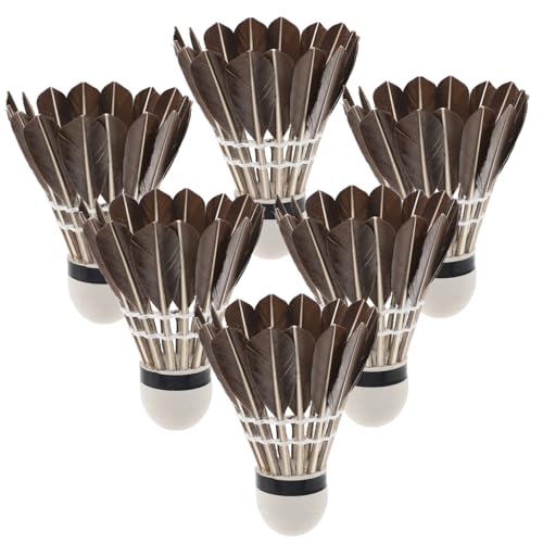 GANAZONO Badminton Shuttlecocks Set for Boys and Girls 6pcs Training Shuttlecocks for Sports