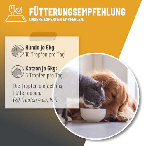 ReaVET Immun Aufbau-Tropfen für Hunde & Katzen 100 ml - Stärkung des Immunsystem, Abwehrkraft I Vitamine Multivitamin Liquid - Wertvolle, rein natürliche Vitamine & Mineralien