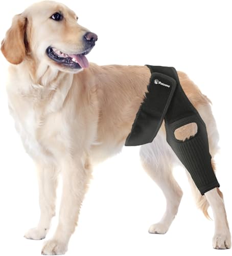 PetCove Dog Knee Brace for Torn Acl Hind Leg — Neoprene Compression, Spring Stabilizers, Belly Band Support Strap, Adjustable Velcro Fit, ACL/CCL, Arthritis, Front/Back Leg, Post-Surgery Recovery