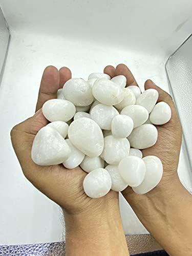 BABA KA DEEWANA 1Kg Polished White Marble Pebbles for Garden Decor (30-50 Mm White) [1Kg] X_STONE-44-[1KG] (B0D9TWRDHG) Amazon Price History, Amazon Price Tracker