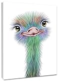 HVEST Ostrich Canvas Wall Art Watercolor Cute Animal Artwork Bird Paintings for Living Room Bedroom Bathroom Decor,Stretched and Framed Ready to Hang,12x16 inches