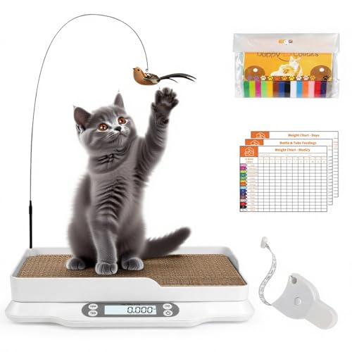 �y�b�g�p�̏d�v