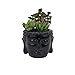 Coliseum Studio Inc - Buddha Head Planter - Indoor/Outdoor Decorative Flower Pot - Concrete Planters with Drainage - for Succulents & Cacti - Handmade in The USA - Medium - 5.5