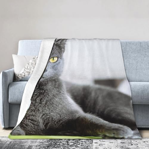 ׂĂ̋G߂ɓKĂ܂ Aj |ѕz L L DF |ѕz uPbg tl zc ϋN R AM[h~ g ۉV[c dy Q \t@ uPbg 40"X30"