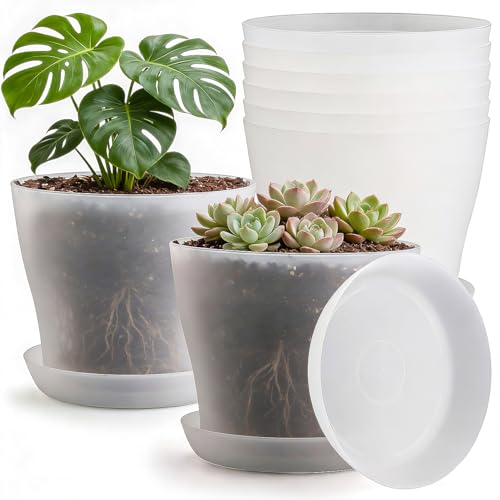 6 Pack 8 Inch Clear Nursery Pots Plant Pots with Large Drainage Holes & Saucer, Plastic Translucent Flower Pots - Durable Outdoor/Indoor Planters for Succulents, Herbs, Cacti, Ideal Gardening Gifts
