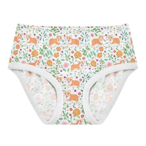 Cute Corgi Dogs Toddler Girls's Underwear 2T 202c1798