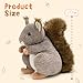 MaoGoLan Giant Squirrel Stuffed Animal,17.7