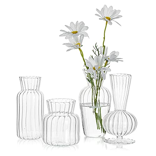 Hewory Mini Vase Transparent Decoratif Ensemble de 4 Pièces, Décoration Moderne Petit Vase en Verre Vase Salon Vase, Créatif Mariage Maison Herbe de La Pampa Vase 15cm