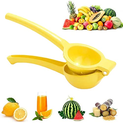 i 蓮W[T[ ʏ`W[T[ nhXNC[U[ ʕ i T[ ڂ  t[cڂ Ɩp ƒp Lb`pi