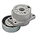 DRIVESTAR Belt Tensioner Assembly with Pulley 2002-2012 Compatible for Nissan Altima 2008-2014 Rogue 2002-2012 Sentra 2005-2006 X-Trail 2.5L Replaces 534035910 419-013 89322 38284