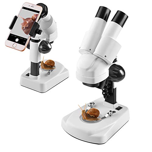 Student Kids Beginner Stereo Microscope Science Kit 20X-40X Compound LED Light Source Binoculars