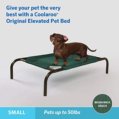 Coolaroo The Original Cooling Elevated Pet Bed - Image 3
