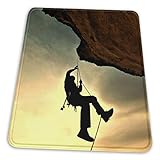 Genießen Sie Ihre Lieblingskunst direkt unter Ihrer Hand.