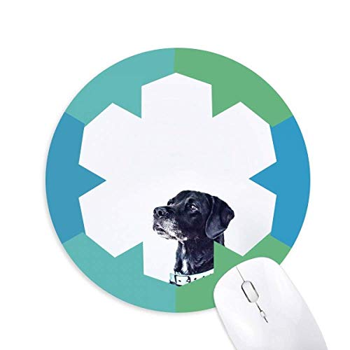 ybgE̎ʐ^ ~`S̐}EXpbh