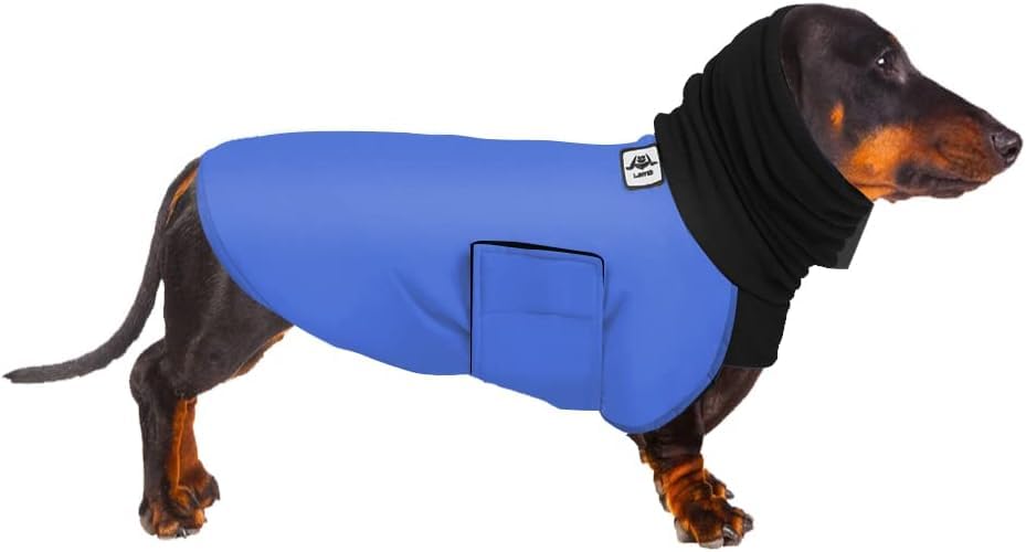 Dachshund Coats, Dog Winter Coat Warm Waterproof, Dachshund Raincoat Waterproof Clothing, Miniature Dog Coat
