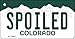 SMART BLONDE Spoiled Colorado Metal Novelty Aluminum Key Chain KC-9951