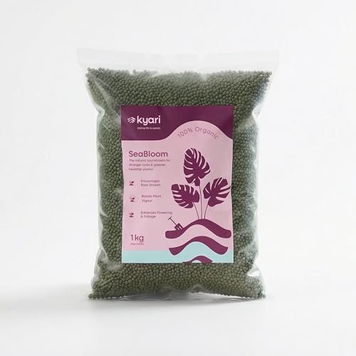 Image of Kyari Seaweed Extract Granules 1 KG - Organic Seaweed Fertilizer for All Plants, SeaBloom Plant Food for Indoor Plants, Outdoor Plants, Vegetables, Flowers & Home Garden