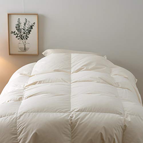  Hэ|zc _u tXYzCg_E90 DP400 1.1kg { 9029 n/x[W[300] _u