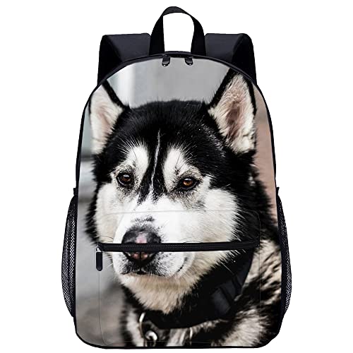 Sac à dos imprimé en 3D motif chien de mode pour adolescents et scolaires 45x30x15cm