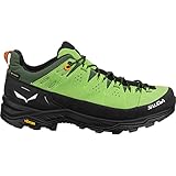 Salewa
