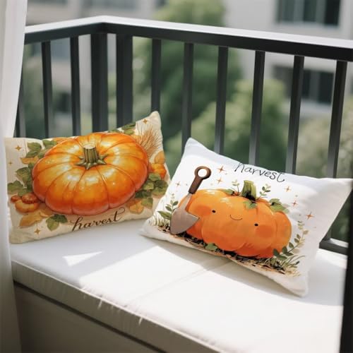 NbVJo[ 80x100 cm 2 Zbg ` xxbg Jo[ 킢J{L \t@[ NbV J{L ʃfUC t  H ~   zc BWbp[ I[V[Y s[P[X \t@  蕨 w