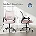 DUMOS Office Desk Chair - Ergonomic Mid Back with Lumbar Support & Rocking Mode, Height Adjustable with Fixed Armrest, Storage Back for Computer, Gaming, Conference, Meeting Room, 360° Swivel, Pink