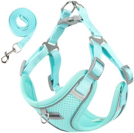 Crethinkaty No Pull Dog Vest Harness-Adjustable Reflective Dog Harness with Leash,Breathable Mesh Pet Vest Harness for Small and Medium Dogs.（L）
