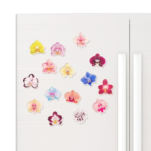 Imanes de Refrigerador de Acrílico Orquídea, 15 Piezas
