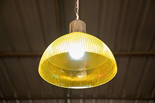 Great Eagle Lighting Corporation 2A2115027 Super Bright 150W-200W Led Light Bulb 2600 Lumens, A21 Non-Dimmable 2700K Warm White, High Lumen thumb #7
