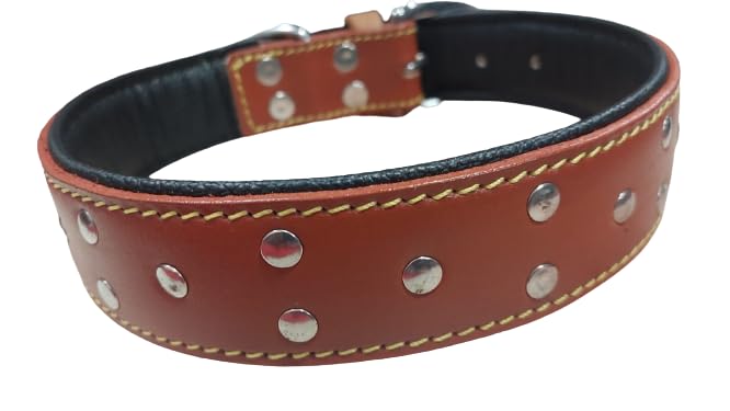 Dog Collar Genuine Leather Belts Heavy Duty Padded Adjustable Small Medium Large with Studded (B0CK61HDHV) Amazon Price History, Amazon Price Tracker