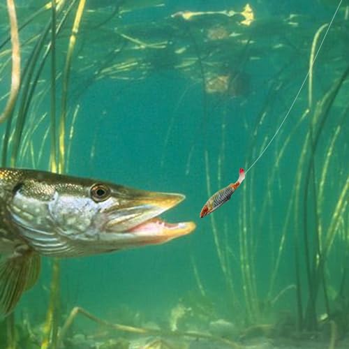 Iscas de pesca artificiais, iscas de pesca para água doce e salgada | Iscas de baixo realistas 2 uni
