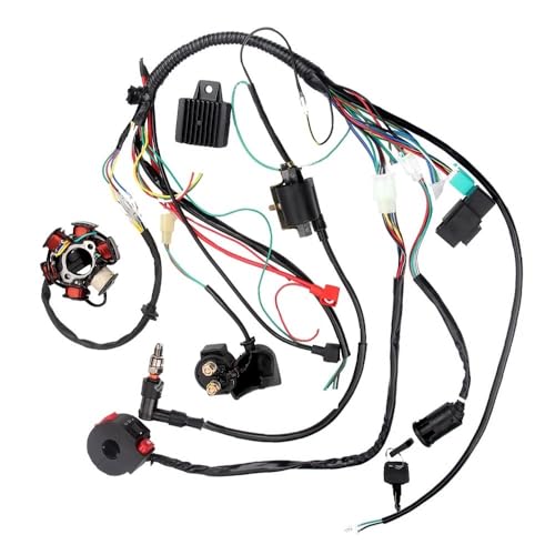 Faisceau électrique complet pour redonner vie au quad enfant lors des sorties