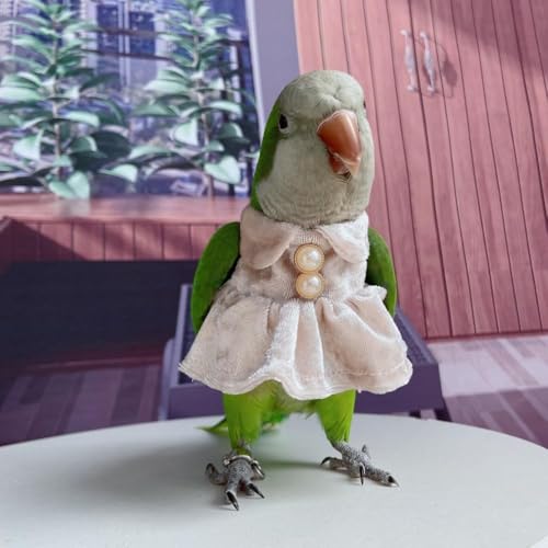 Fantasia de pássaro, fralda, roupa de voo, papagaio, veludo, saia de lã, roupas para cosplay, acessó