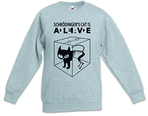 Pull chat de Schrödinger enfant idéal pour l'école et les loisirs