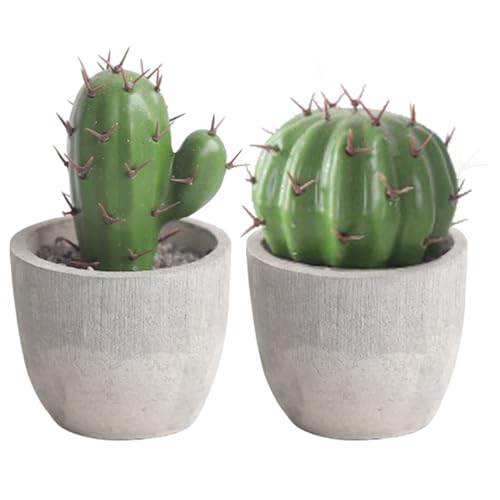 Ciieeo Faux Cactus en Pot Mini Décor Intérieur Plante Artificielle Réaliste 4.06X2.44X2.44 Pouces Simulation Bonsai pour Maison Bureau Salon