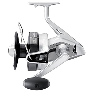 Daiwa DF100B Hochseerolle 10000