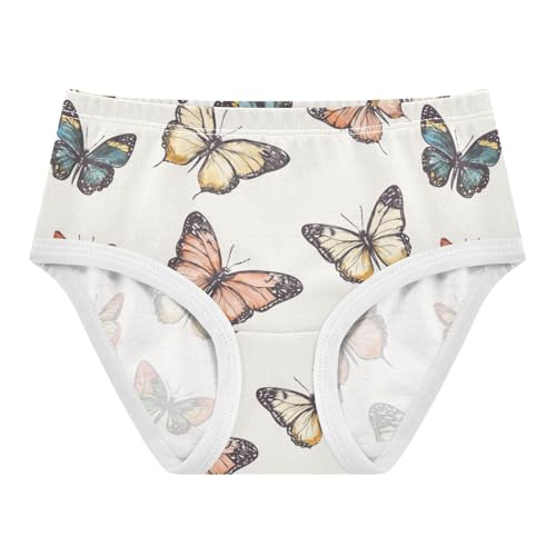 ZZKKO Vintage Butterfy Girls Underwear Toddler Panties for Girls Comfort Brief Size 2T-8Y